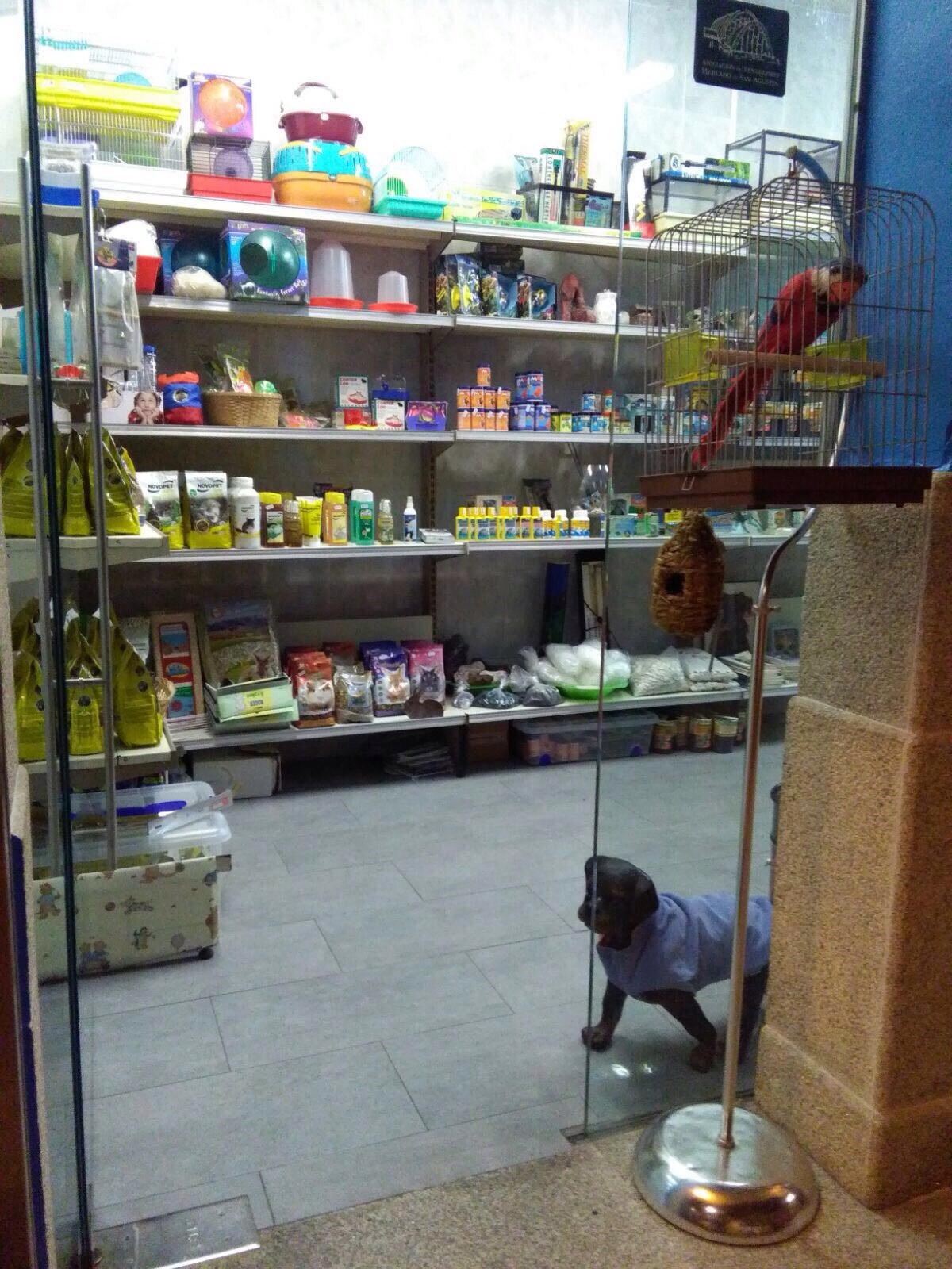 Galería de imágenes